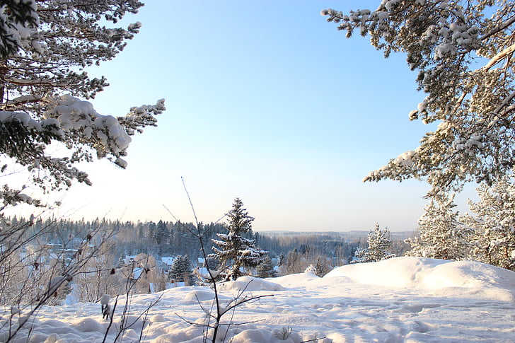 invierno, sol, naturaleza, Frost, cielo, paisaje, terreno
