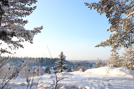l'hivern, sol, natura, gelades, cel, paisatge, terreny