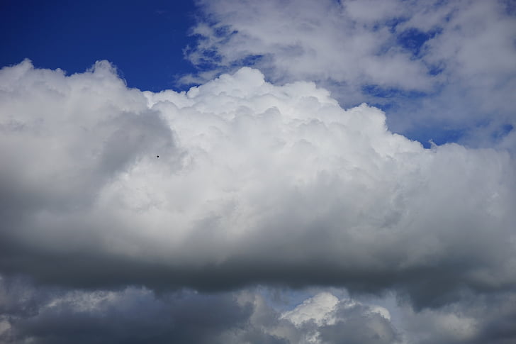 núvols, Nuvolositat, cel, blanc, blau, ambient, núvols de tempesta