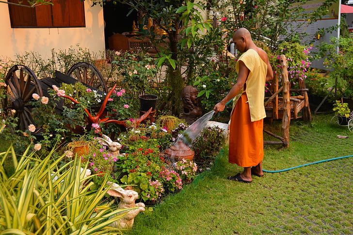 monk, gardening, thailand, garden, traditional, culture, park