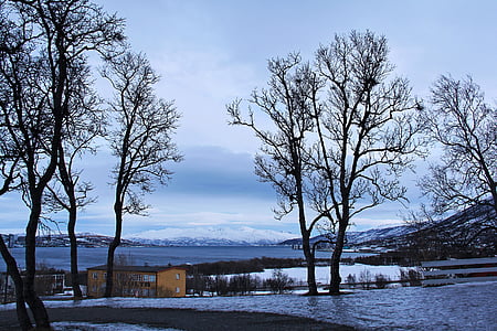 pemandangan, indah, menakjubkan, salju, tradisional, rumah Nordik, rumah