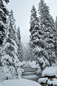 雪, 阿尔卑斯山, 高级上萨瓦省, 冬季景观, 山, 滑雪, 冬天
