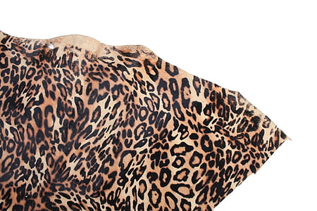 en leopard, läder, Chiba, läder texture, konsistens, djur, djurskinn