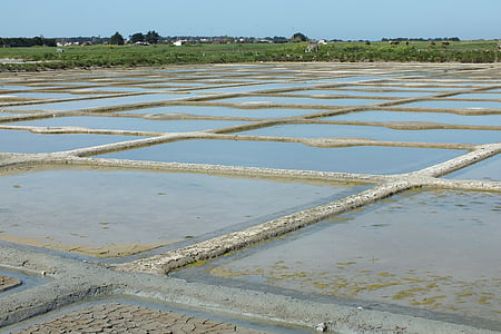 pântanos de água salgada, Noirmoutier, sal