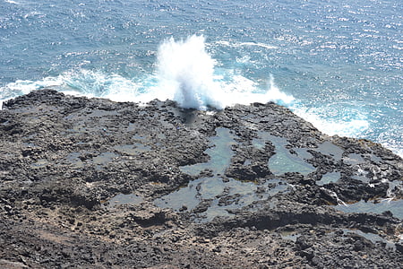 Havaí, oceano, pedras, ondas, pulverizador, surf, havaiano