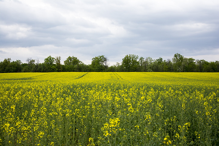 nature, landscape, sky, blue, summer, natural, outdoor