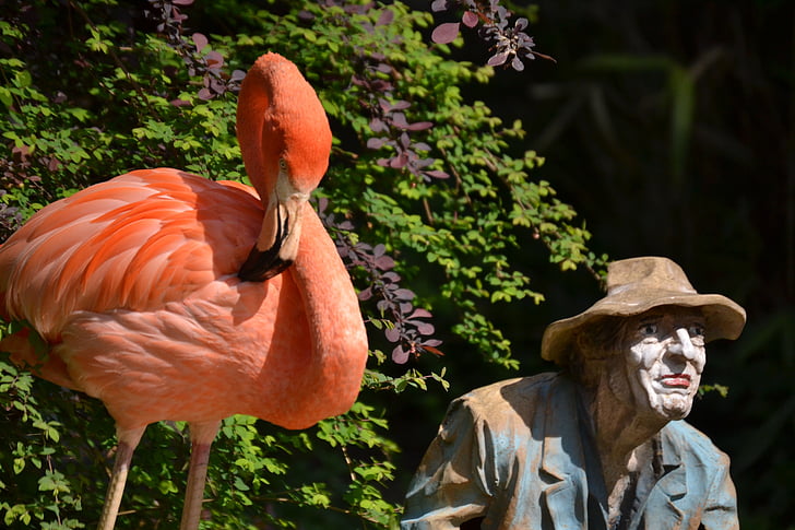 Flamingo, estátua, colorido, decorativos, Verão, pássaro, artesanato