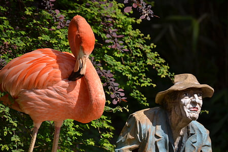 Flamingo, estatua de, colorido, decorativo, verano, pájaro, arte