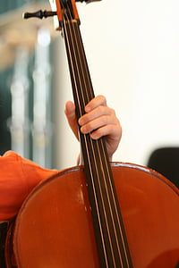 cello, musikinstrument, musik, ljud, instrumentet, trummor, hand