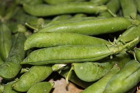 green peas, pea, cultivation, huerta, harvest, green, orchard