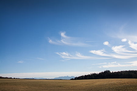 吹风机, 景观, 山脉, 高山, 上部巴伐利亚, 春天, 树木