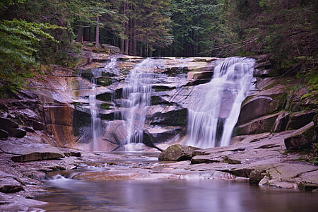 cascade, creek, environment, fall, forest, landscape, motion