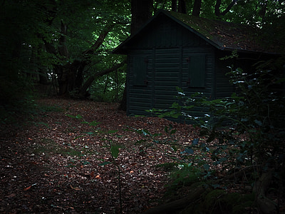 home, hut, forest, hunting house, gloomy, creepy, crime scene