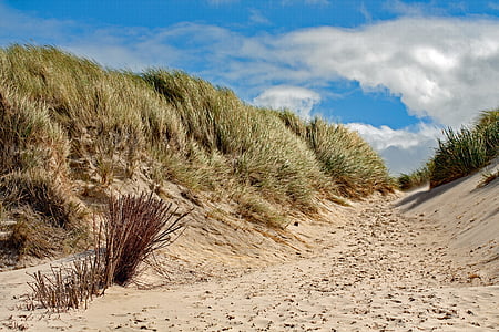dune, amrum, island, north sea, sky, holiday, clouds