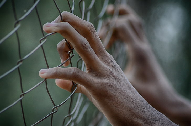 паркан, DOM, в'язниця, руки, пальці, закриті, частина людського тіла