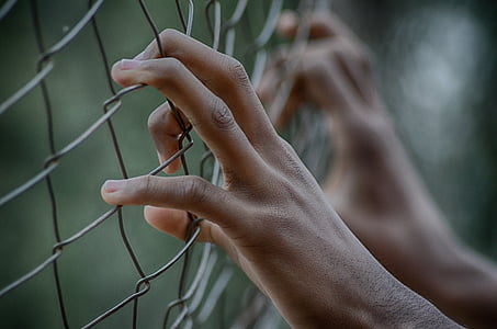 fence, dom, prison, hands, fingers, closed, human body part