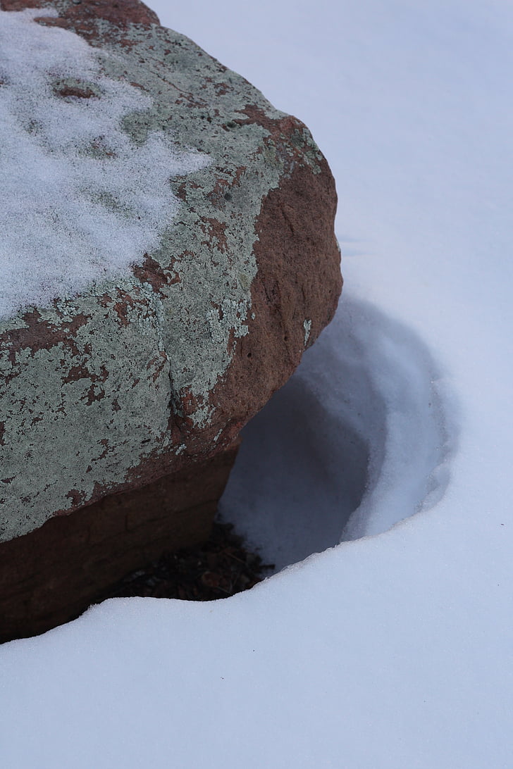 sneg, lišaji, rock, granit, kamen, mah, pozimi