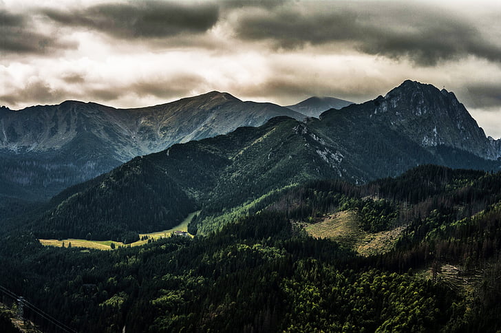 zataženo, krajina, Hora, Příroda, malebný, stromy, venku