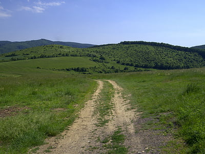 Lane, padang rumput, negara, alam, hutan, pegunungan, Slovakia