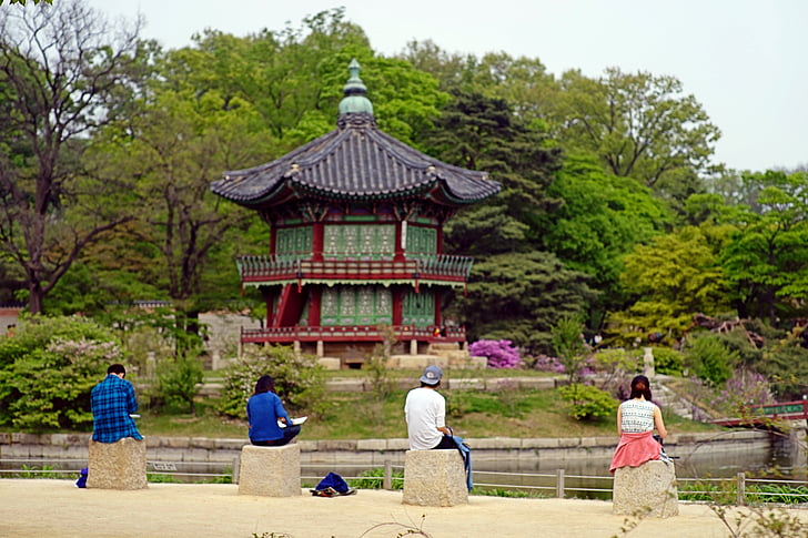 Palau de Gyeongbok, natura, home, estudiant, figura, paisatge, arquitectura asiàtic