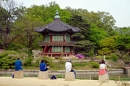 Gyeongbok palace, naturen, mannen, Student, Figur, vacker natur, asiatisk arkitektur