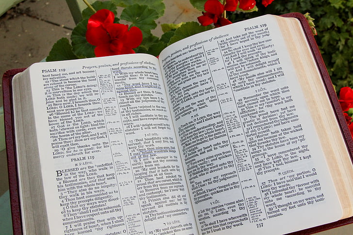Bibel, Öffnen, Buch, Religion, das Christentum, Heiligen, Text