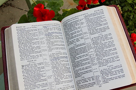 Bijbel, Open, boek, religie, Christendom, Heilige, tekst