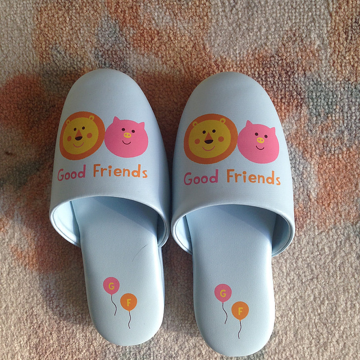 slippers, food chain, friendship, meat-eating, pig