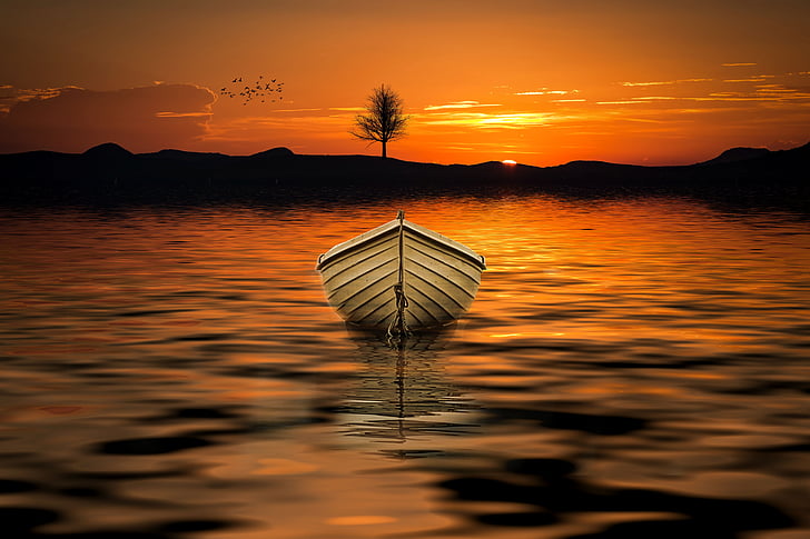 boot, sea, sun, tree, ship, water, sunset