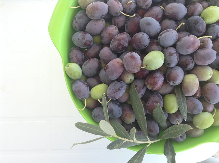 ramo d'ulivo, olive, fresco, verdure