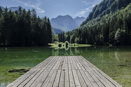 gray, wooden, water, dock, body, surrounded, green