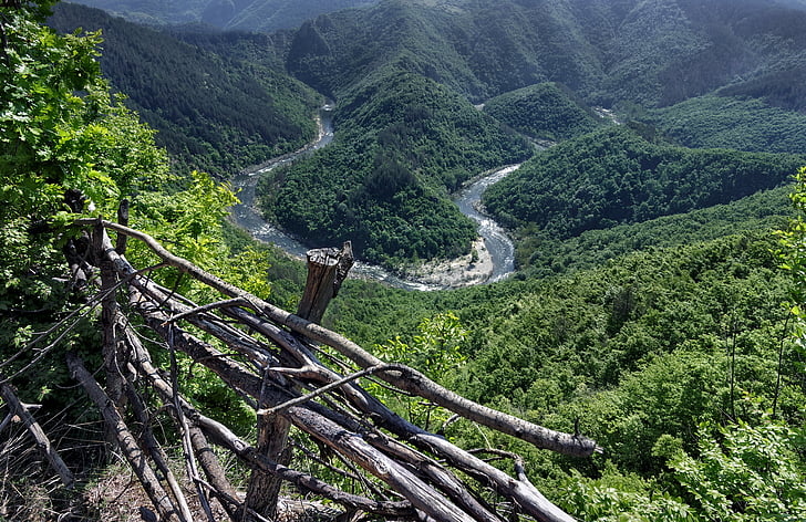 forest, landscape, mountain, outdoors, river, scenic, trees