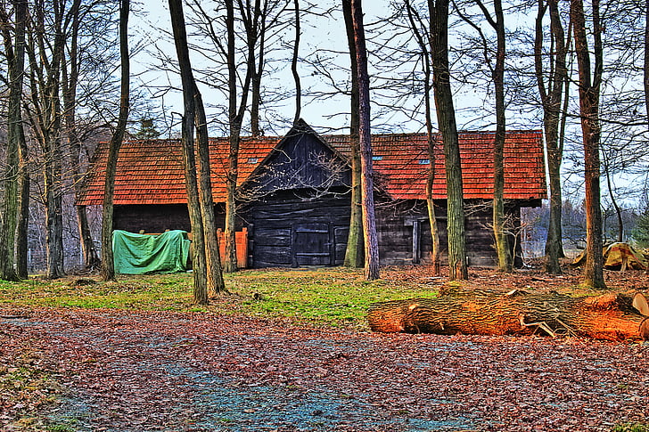 ladugården, ladan, Forest lodge, HDR-bild, gamla, trä - material, landsbygdens scen
