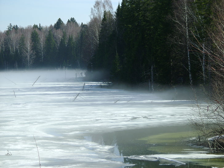озеро, туман, Відлига