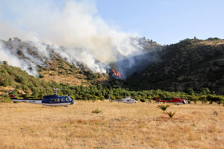 vrtulníky, lesní požár, oheň, smrt, strom, palivové dříví spálený, nebezpečí