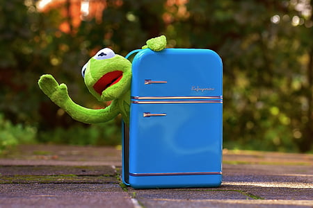 Kermit, Kurbağa, buzdolabı, komik, Retro, Yeşil, oyuncaklar