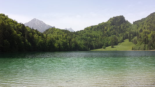 bergsee, nyári, Allgäu, Alatsee, Füssen, hegyek, víz