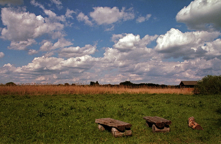 clouds, green meadow, meadow, rural, grass, green, sky