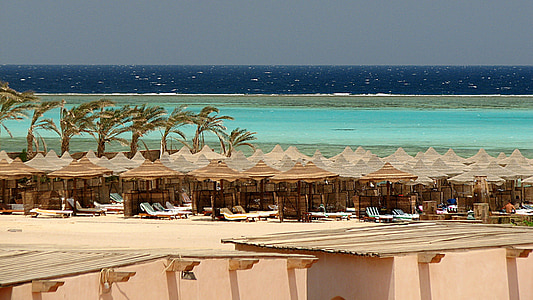 Egipte, Marsa alam, escull, oceà, Mar, platja, marí