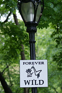 per sempre, selvaggio, segno, segno per sempre selvaggio, Parco, America, Stati Uniti d'America