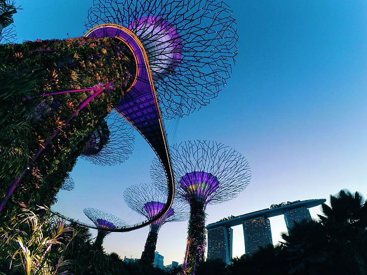 Singapore, blauw, zonsondergang, mensen, menselijke, reuzenrad, amusement park