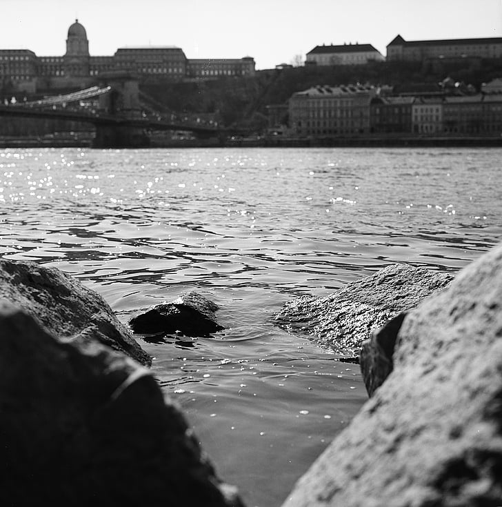 kivid, jõgi, Doonau, vahuveini, vee, loodus, linnaruumi
