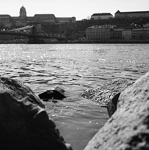 скали, река, Дунав, пенливи, вода, природата, градски пейзаж