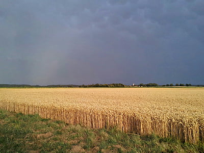 câmp, furtună, gewitterstimmung, agricultura, natura, scena rurale, ferma