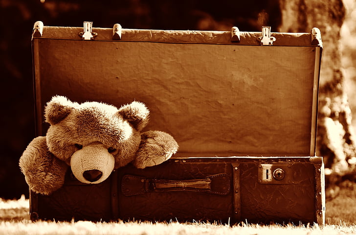 luggage, antique, teddy, sepia, soft toy, stuffed animal, toys