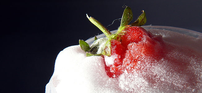 appetittvekkende, bær, delikat, deilig, isen, jordbær, jordbær i isen