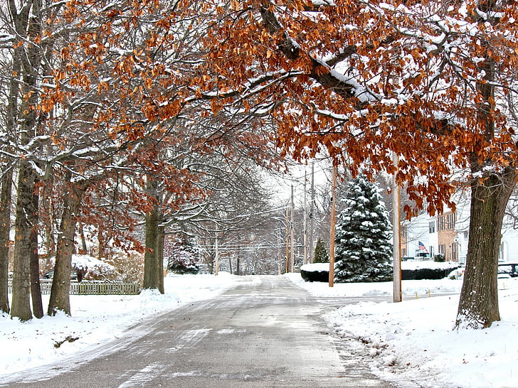 pozimi, sneg, cesti, LED, mirno, tiho, zamrznjeni