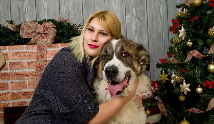 Crăciun Foto, imagine de Crăciun, familia de Craciun, Crăciun, Xmas, câine, câine şi fata