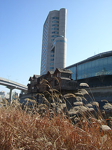 hochaus, Korea, Seoul, korea Południowa, budynek, gród