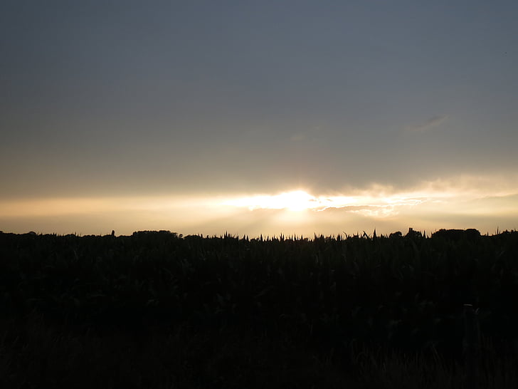 solnedgang, Nederland, landskapet, natur, Air